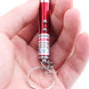 Laser Pointer Pen Play Cat Toy