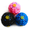 Rushed Training Chew Voice Sound Ball Toy